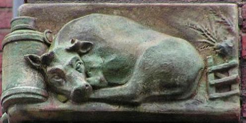 KONICA MINOLTA DIGITAL CAMERA