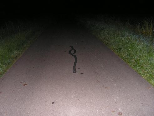 KONICA MINOLTA DIGITAL CAMERA