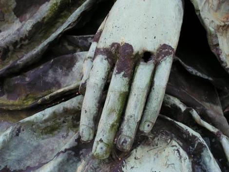 KONICA MINOLTA DIGITAL CAMERA