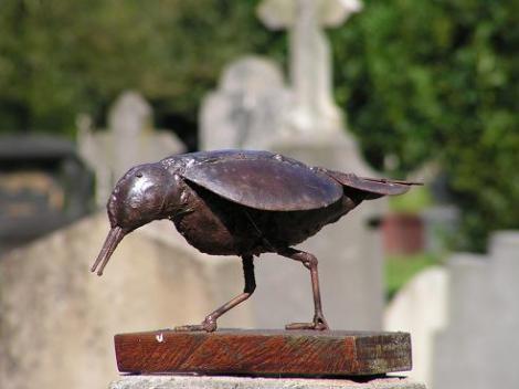 KONICA MINOLTA DIGITAL CAMERA