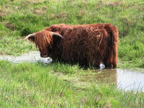 KONICA MINOLTA DIGITAL CAMERA