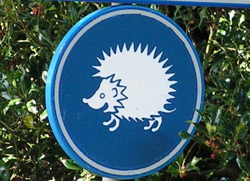 KONICA MINOLTA DIGITAL CAMERA