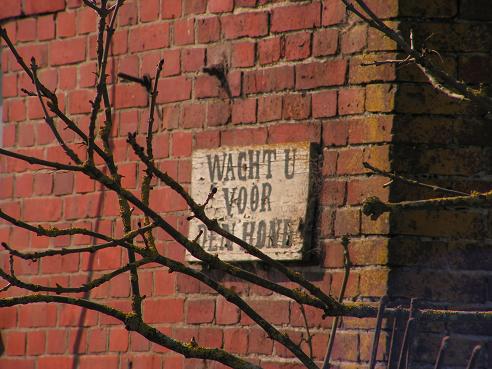 KONICA MINOLTA DIGITAL CAMERA