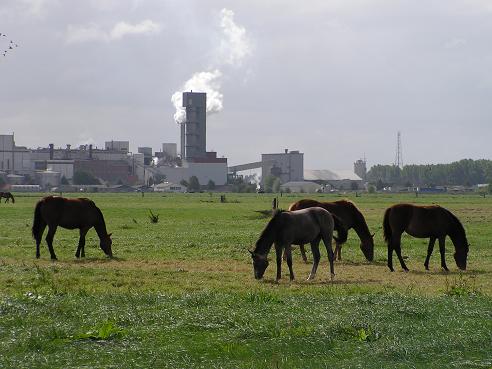 KONICA MINOLTA DIGITAL CAMERA