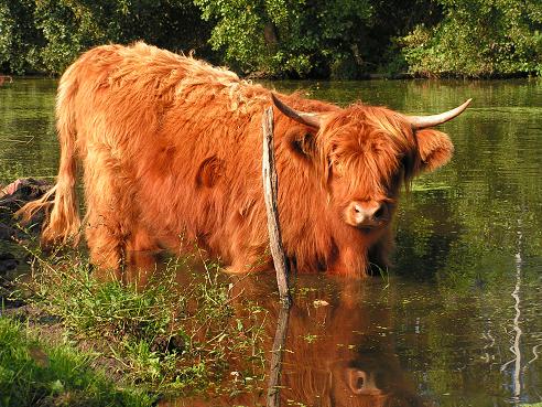 KONICA MINOLTA DIGITAL CAMERA