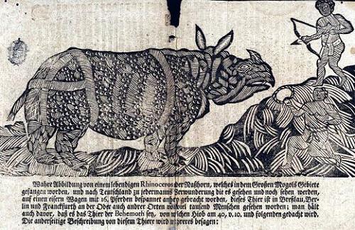 Geplaatst op 20 september 2009  eelde  clara