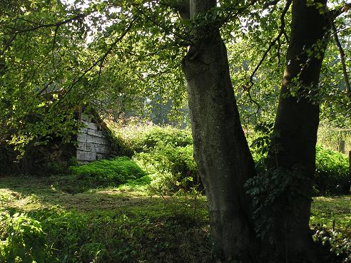 KONICA MINOLTA DIGITAL CAMERA