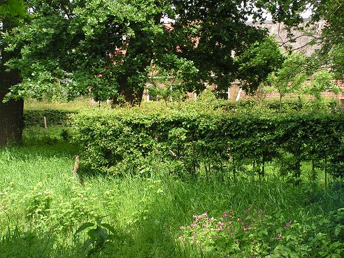 KONICA MINOLTA DIGITAL CAMERA