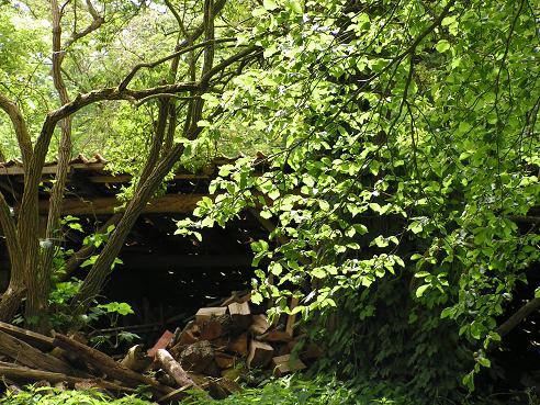 KONICA MINOLTA DIGITAL CAMERA