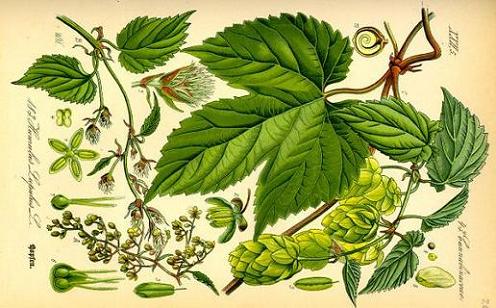 Geplaatst op 12 oktober 2009  a