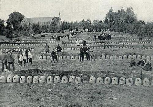 Geplaatst op 16 november 2009  a