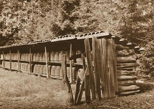 Geplaatst op 17 november 2009  a