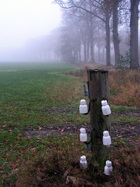 KONICA MINOLTA DIGITAL CAMERA