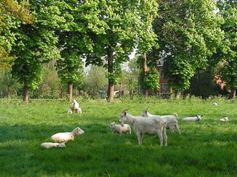 KONICA MINOLTA DIGITAL CAMERA