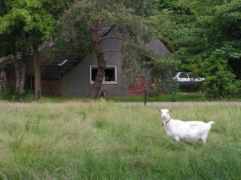 KONICA MINOLTA DIGITAL CAMERA