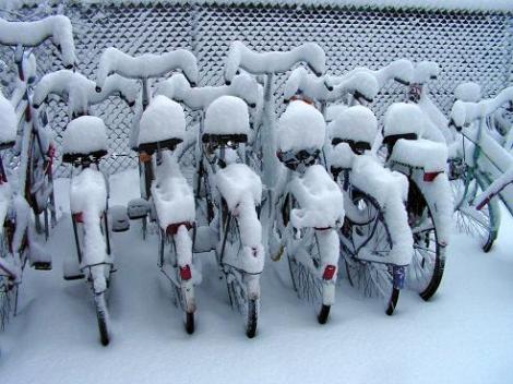 KONICA MINOLTA DIGITAL CAMERA