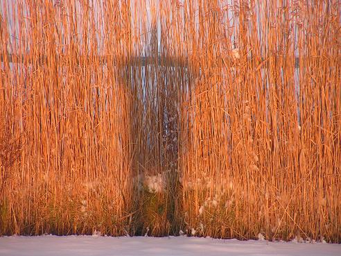 KONICA MINOLTA DIGITAL CAMERA