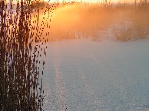 KONICA MINOLTA DIGITAL CAMERA