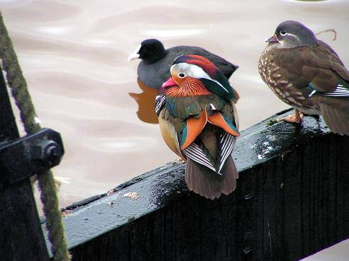 KONICA MINOLTA DIGITAL CAMERA