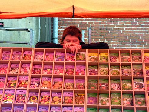 KONICA MINOLTA DIGITAL CAMERA