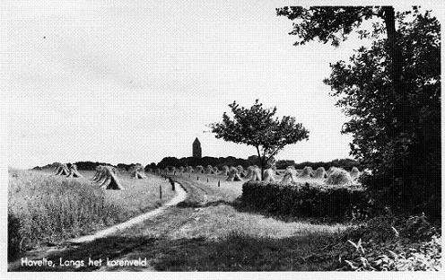 Geplaatst op 17 maart 2010  f