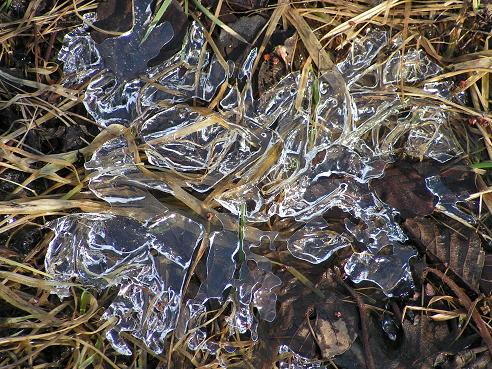 KONICA MINOLTA DIGITAL CAMERA