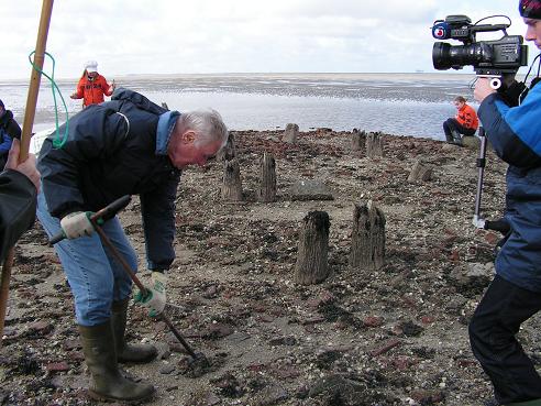 KONICA MINOLTA DIGITAL CAMERA