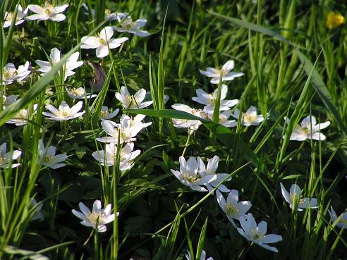 KONICA MINOLTA DIGITAL CAMERA