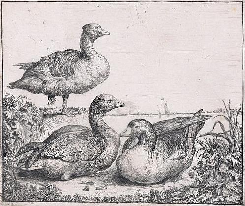 Opnamedatum: 27-02-2008