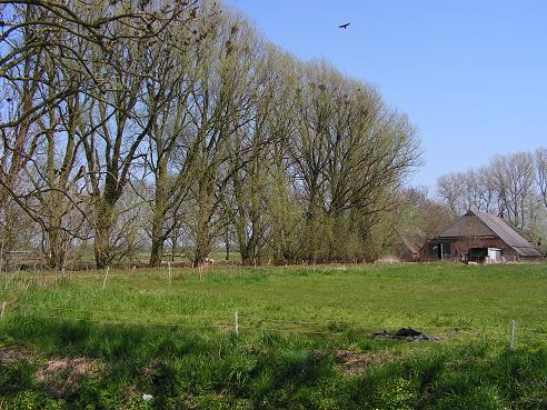 KONICA MINOLTA DIGITAL CAMERA