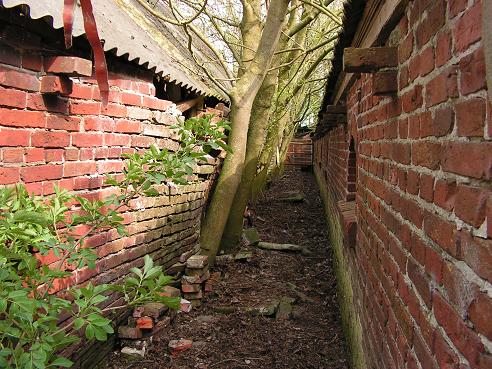 KONICA MINOLTA DIGITAL CAMERA