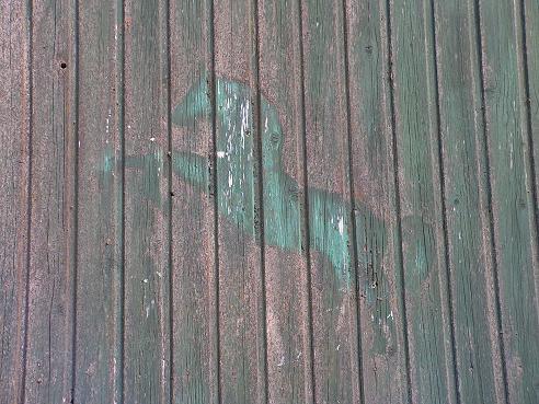 KONICA MINOLTA DIGITAL CAMERA