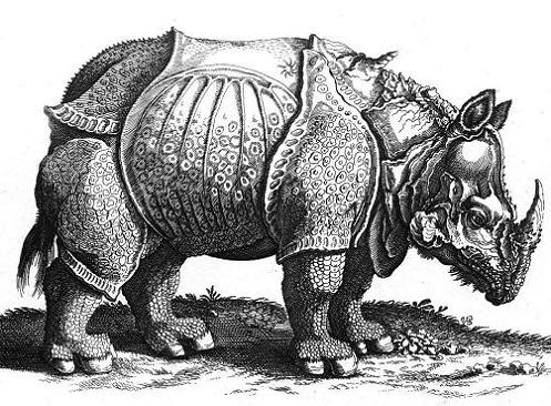 Geplaatst op 26 april 2010 dierenboek