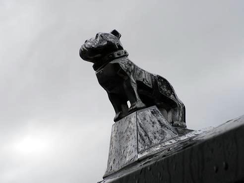 KONICA MINOLTA DIGITAL CAMERA