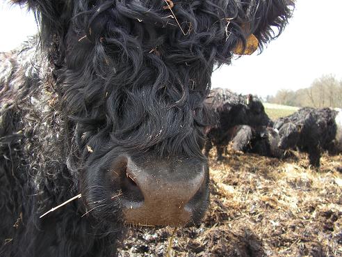 KONICA MINOLTA DIGITAL CAMERA