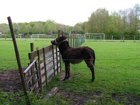 KONICA MINOLTA DIGITAL CAMERA