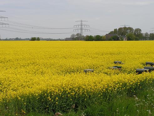 KONICA MINOLTA DIGITAL CAMERA