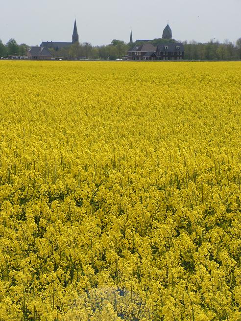 KONICA MINOLTA DIGITAL CAMERA