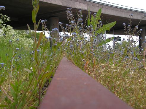 KONICA MINOLTA DIGITAL CAMERA