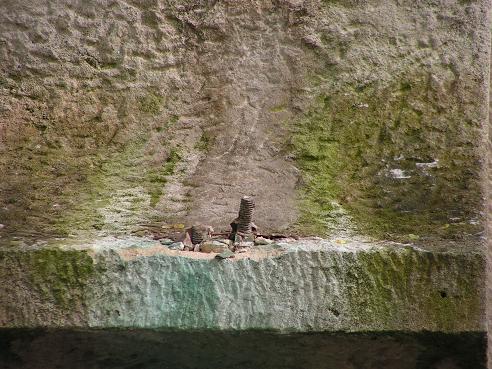 KONICA MINOLTA DIGITAL CAMERA