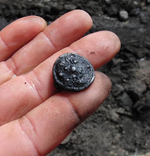 Geplaatst op 1 juni 2010  fibula