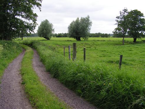 KONICA MINOLTA DIGITAL CAMERA