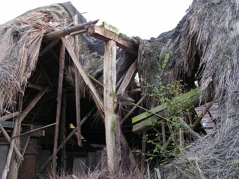 KONICA MINOLTA DIGITAL CAMERA