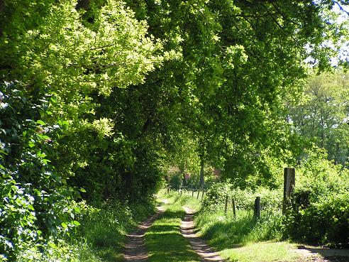 KONICA MINOLTA DIGITAL CAMERA