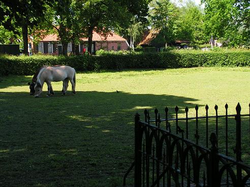 KONICA MINOLTA DIGITAL CAMERA