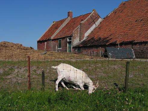 KONICA MINOLTA DIGITAL CAMERA