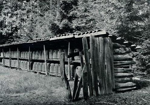 Geplaatst op 30 juni 2010  a