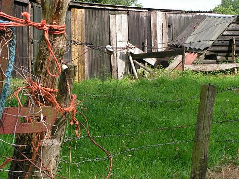 KONICA MINOLTA DIGITAL CAMERA