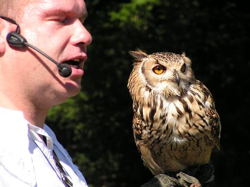 KONICA MINOLTA DIGITAL CAMERA