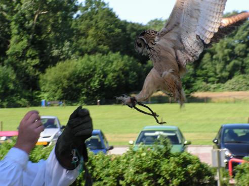 KONICA MINOLTA DIGITAL CAMERA